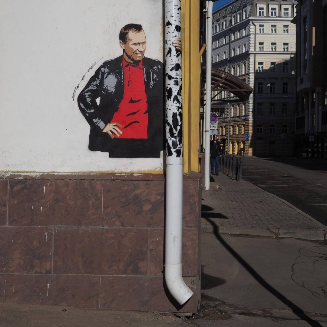 МНОГОЛИКИЕ БЕРЁЗЫ РОССИИ 3